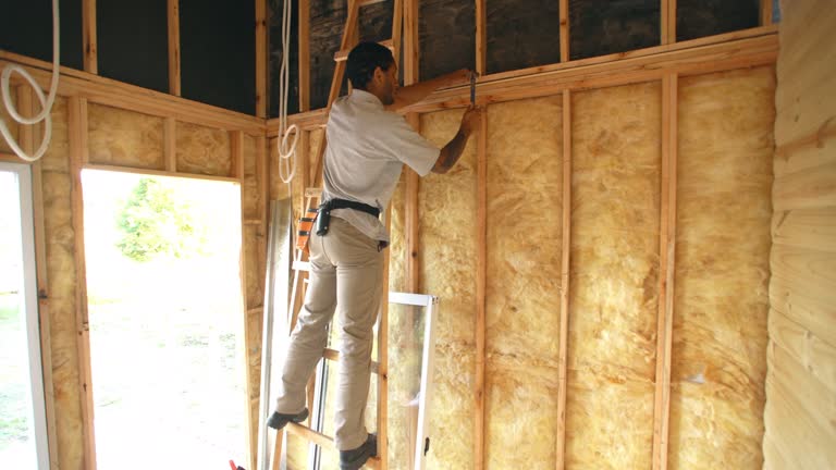 Best Insulation Air Sealing  in Collegeville, PA